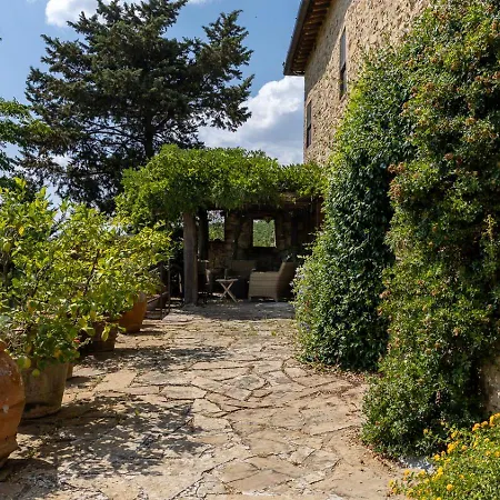 Traditional In Chianti